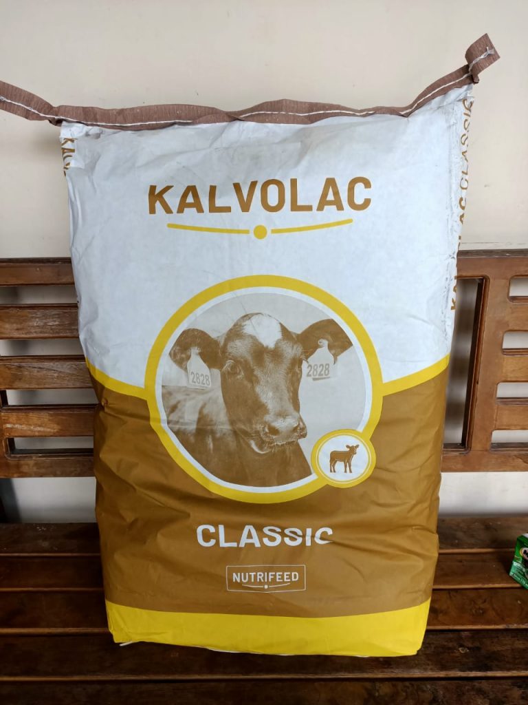 Susu Kalvolac